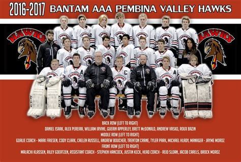 pembina valley u15 hawks.